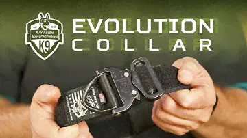 Evolution Collar - Nylon Cobra Buckle Dog Collar