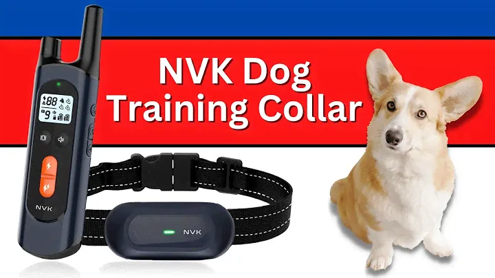 NVK Dog Training Collar