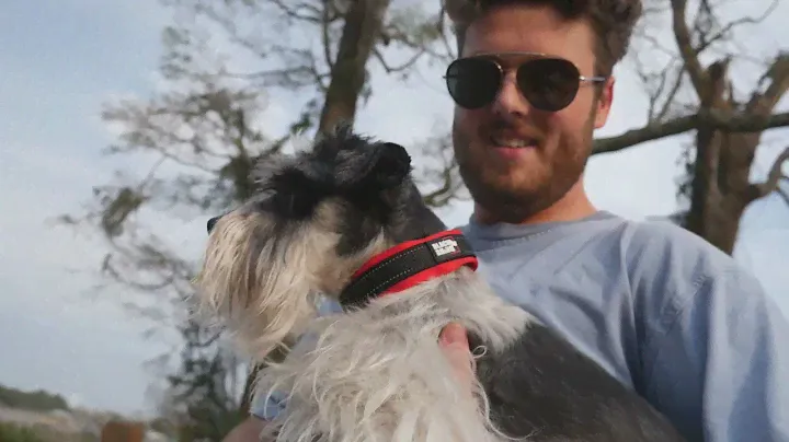 Black Rhino - The Comfort Collar Ultra Soft Neoprene Padded Waterproof Dog Collar for All Breeds