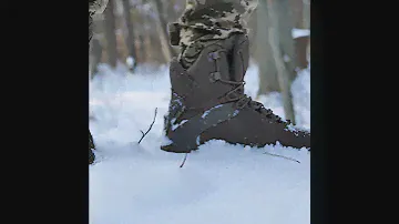 Gepard BRAVO малий огляд у лісі