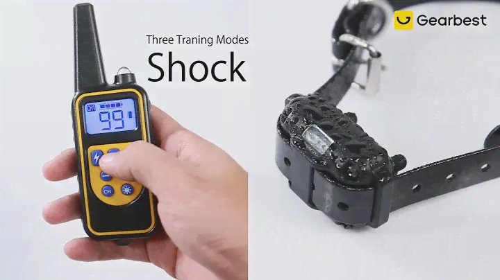 880 800m Waterproof Rechargeable Remote Control Dog Electric Training Collar -  Gearbest.com