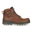 Mens ECCO Track 25 High Gore-Tex Hiking Boot Waterproof Brown 831704 52600