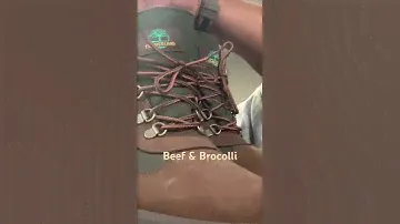 Timberland Beef n Broccoli