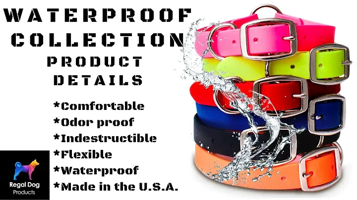 Product Overview: Waterproof Center-Ring Dog Collar from Regal Dog Products