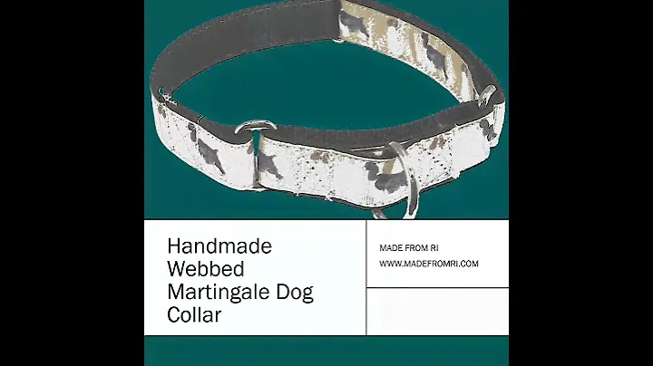 Webbed Martingale Dog Collar - 1" nylon from Made From RI