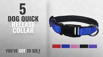 Top 5 Dog Quick Release Collar [2018 Best Sellers]: Best Plastic Quick Release Dog and Puppy Collar
